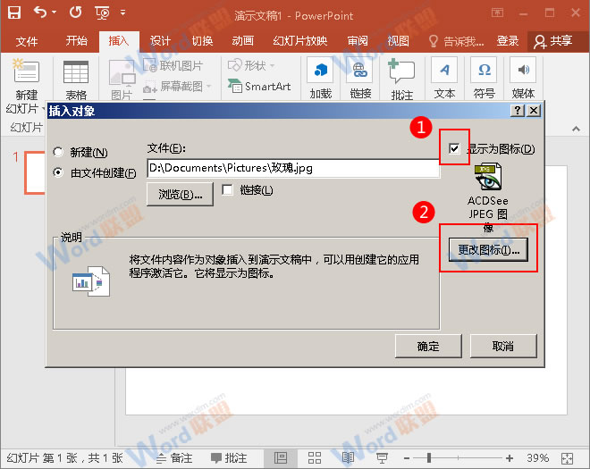 如何在PowerPint中链接外部图片(图4) 勾选“显示为图标”