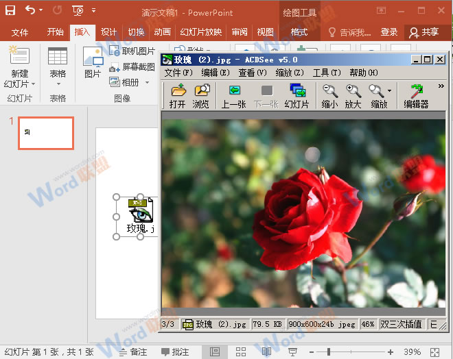 如何在PowerPint中链接外部图片(图7) 点击玫瑰图标